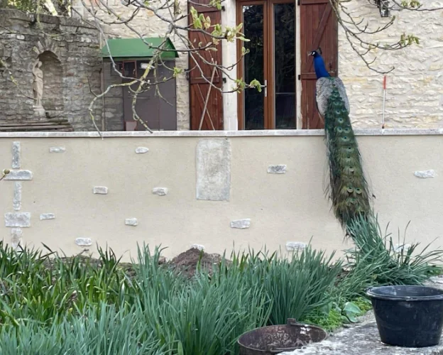 mur en pierre apparente à Massognes dans la Vienne 86